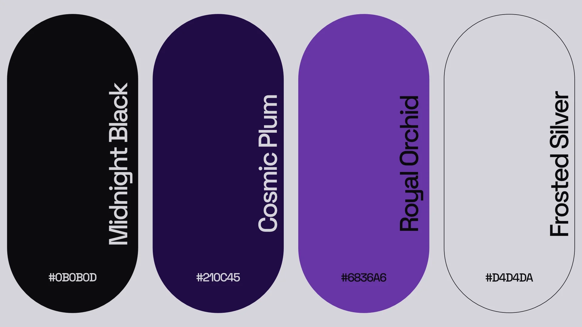 Franz_Digital_Color_Palette_Design